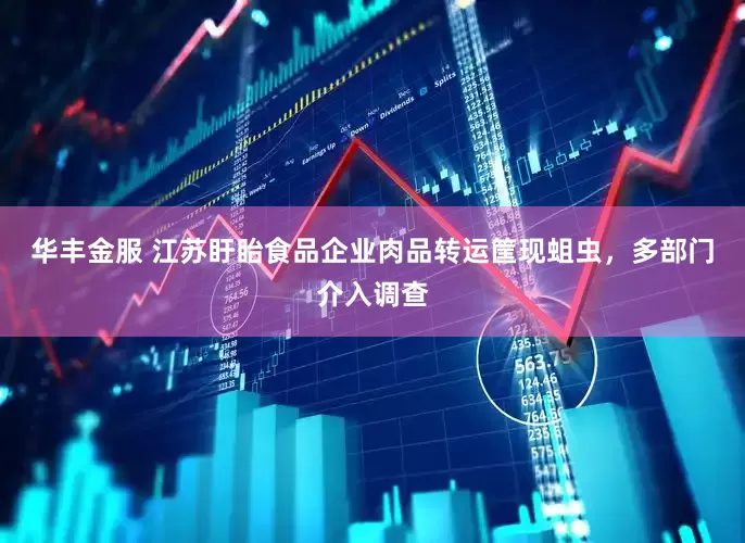 华丰金服 江苏盱眙食品企业肉品转运筐现蛆虫，多部门介入调查