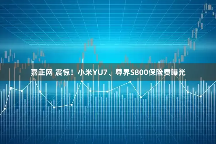嘉正网 震惊！小米YU7、尊界S800保险费曝光