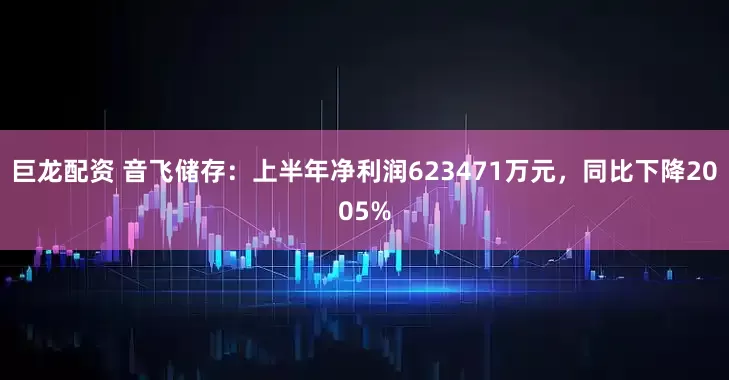 巨龙配资 音飞储存：上半年净利润623471万元，同比下降2005%